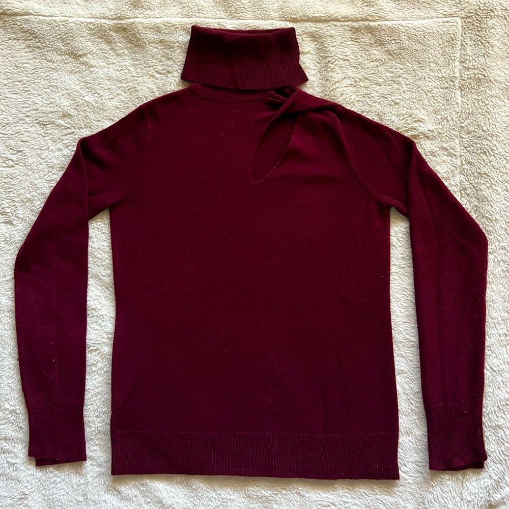 Maroon Turtleneck Sweater! A.L.C.